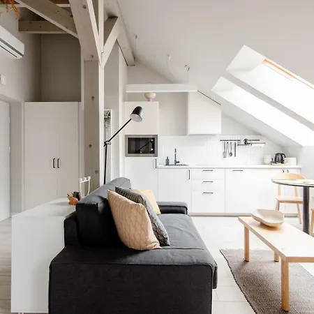 Charming Designer Attic Апартаменты Краков